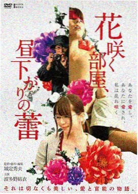 悬疑电影雾港迷踪封面
